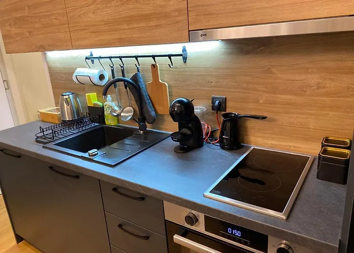 La Vida 公寓 兹拉蒂博尔